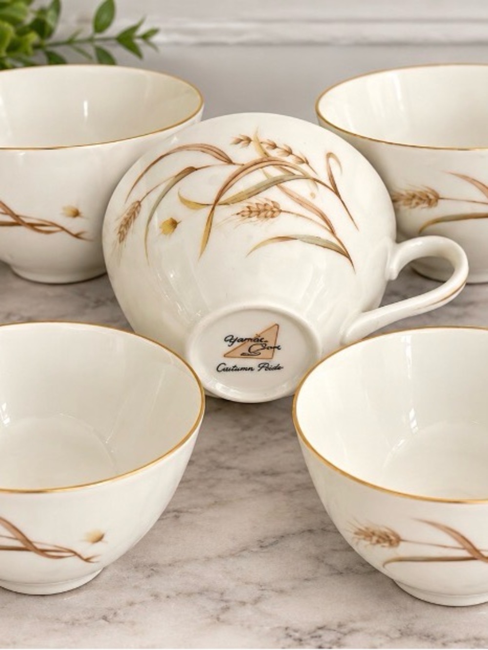 Vintage Yamaka Autumn Pride Teacups Set of 5 Japan Gold Trim